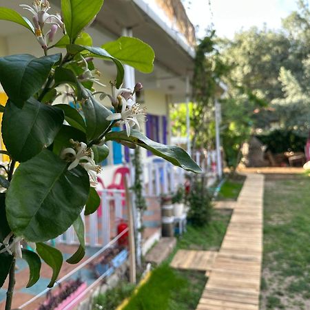 Gaya Pansiyon Cirali Кемер Экстерьер фото